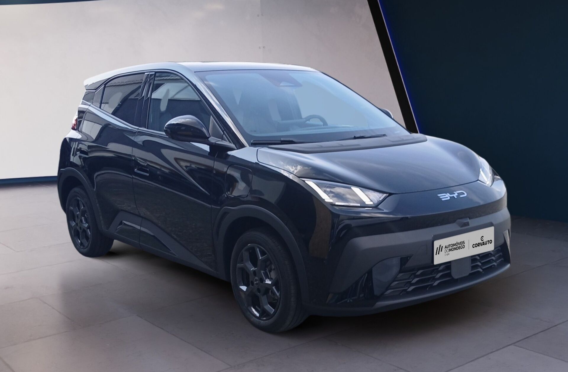 BYD Dolphin 60.4 kWh Design