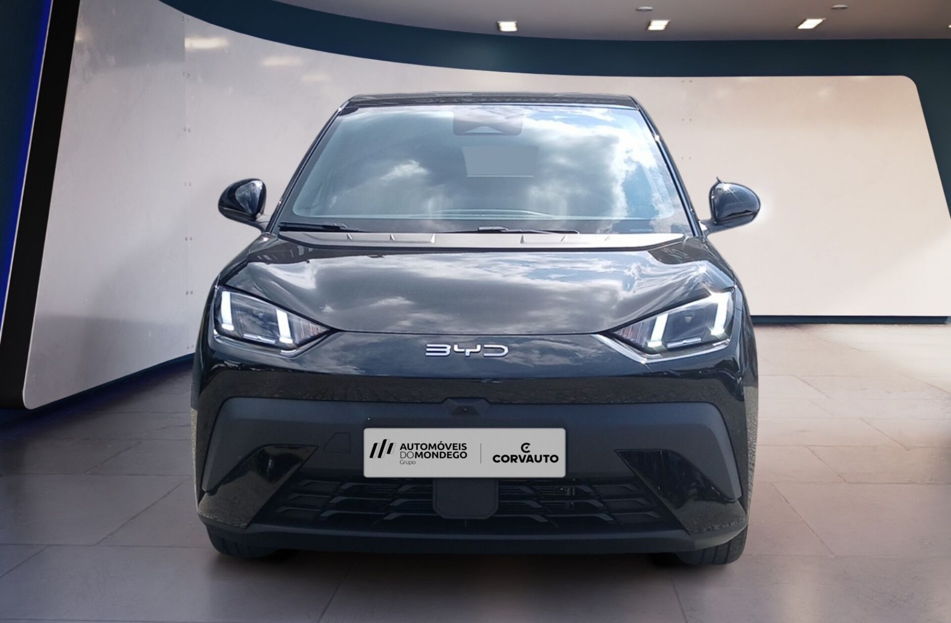 BYD Dolphin 60.4 kWh Design