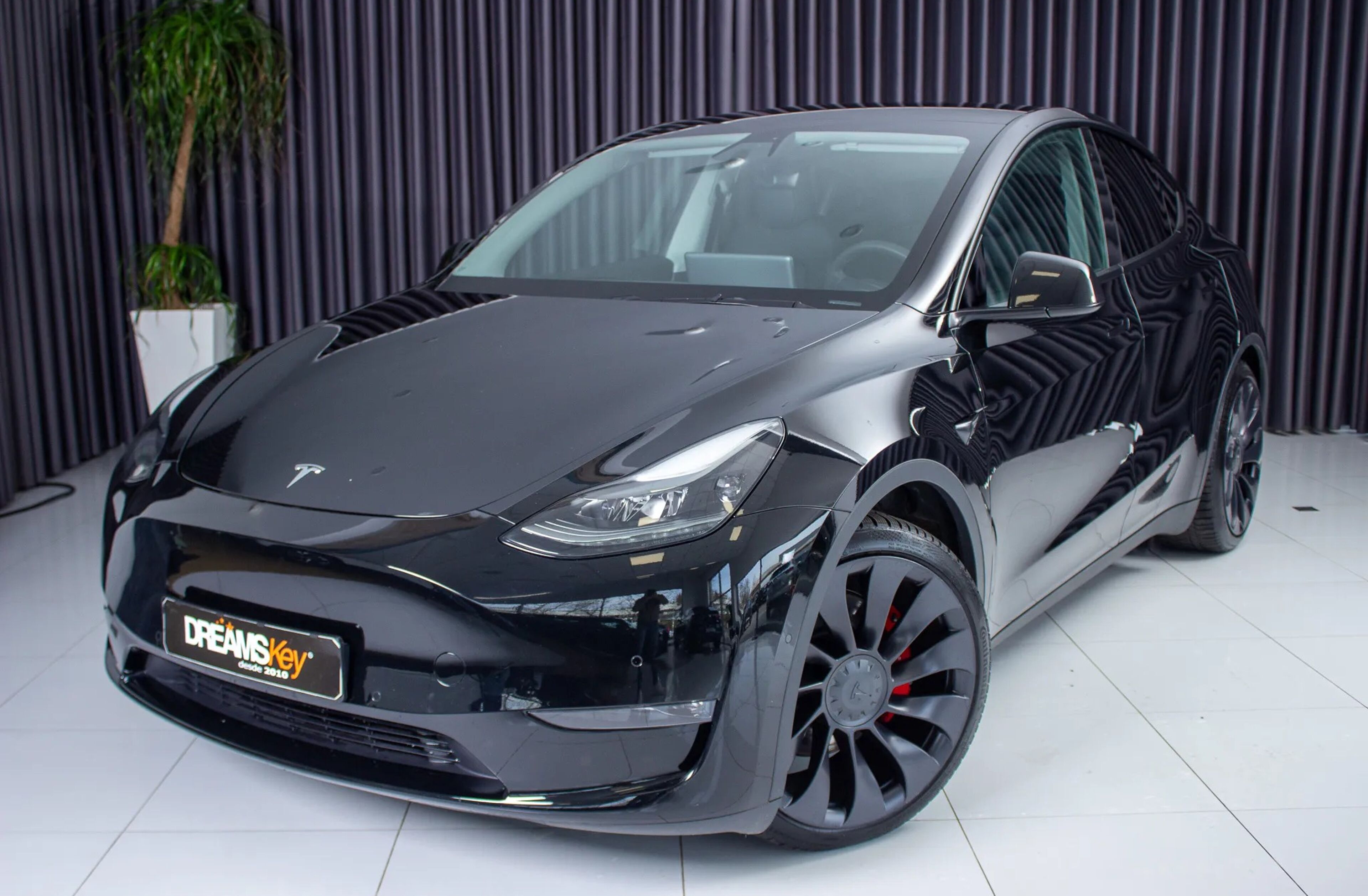 TESLA Model Y Performance Dual Motor AWD