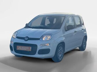 FIAT Panda 1.0 Hybrid City Life