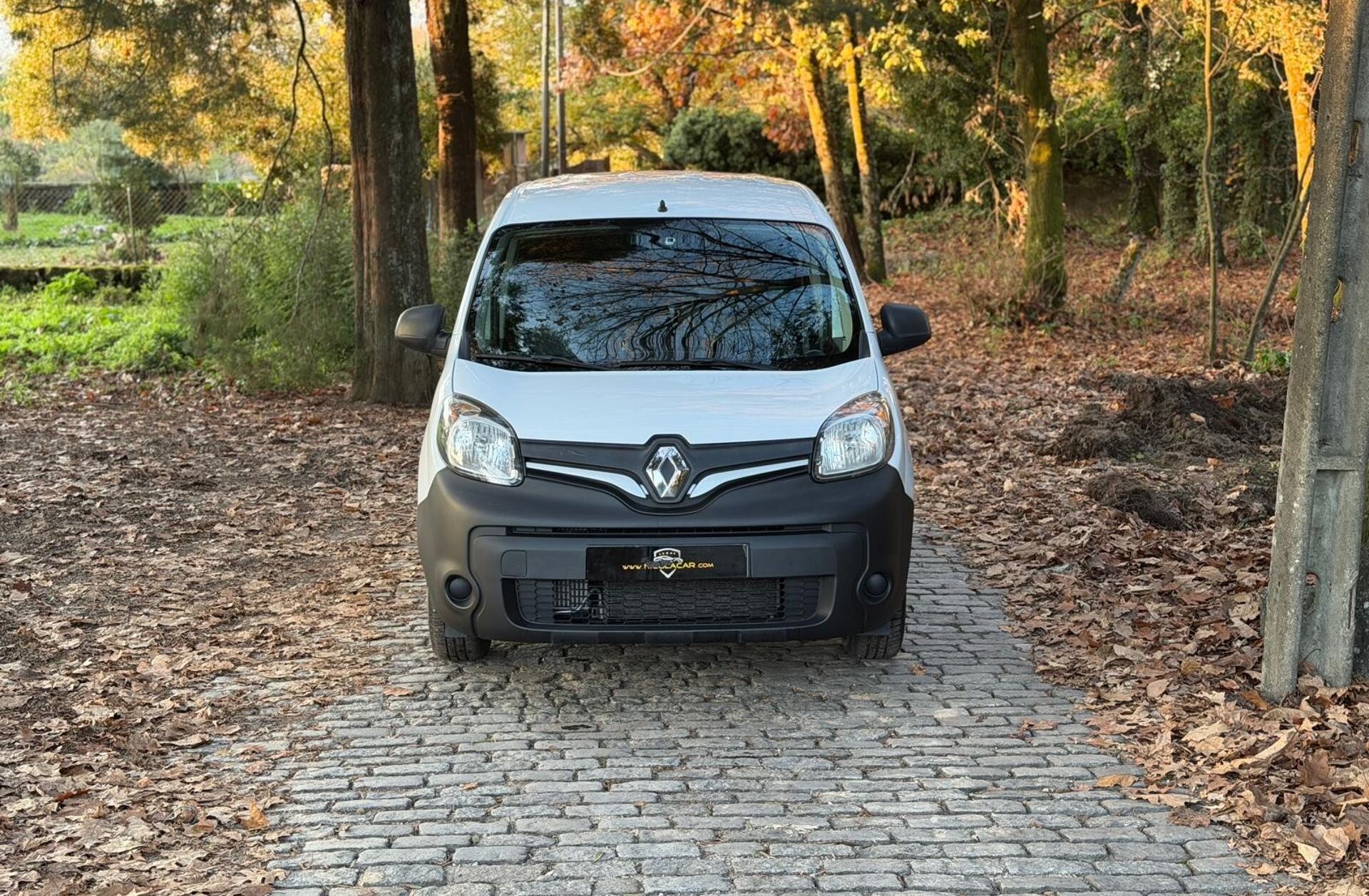 RENAULT Kangoo 1.5 Blue dCi Extrem