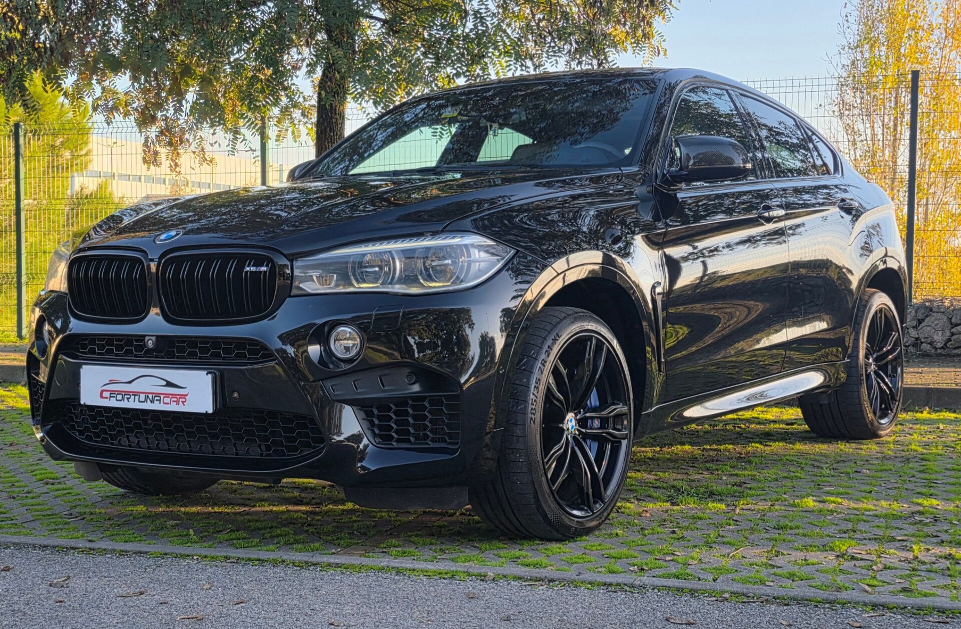 BMW X6 M