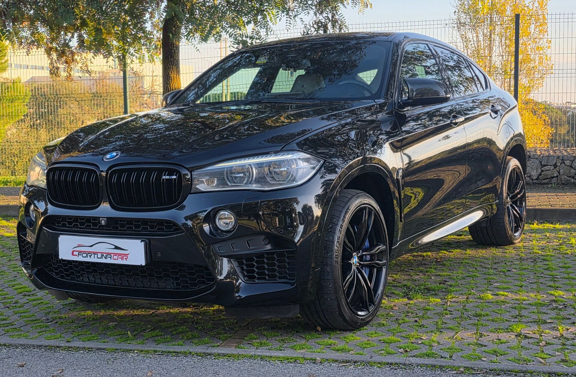BMW X6 M