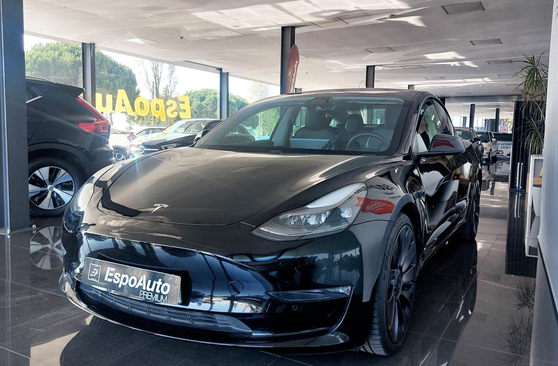 TESLA Model 3 Performance Dual Motor AWD