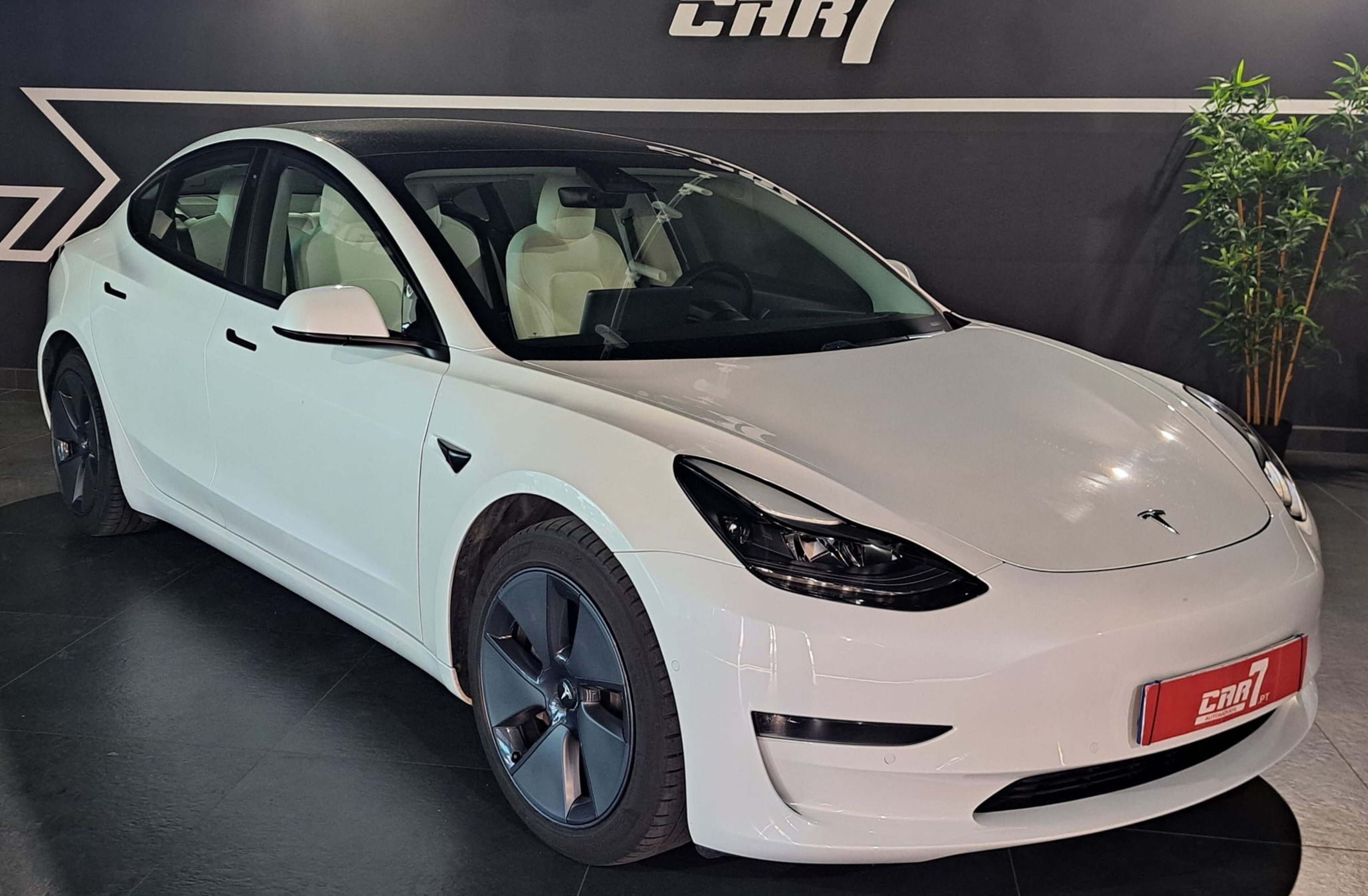 TESLA Model 3 Long-Range Dual Motor AWD
