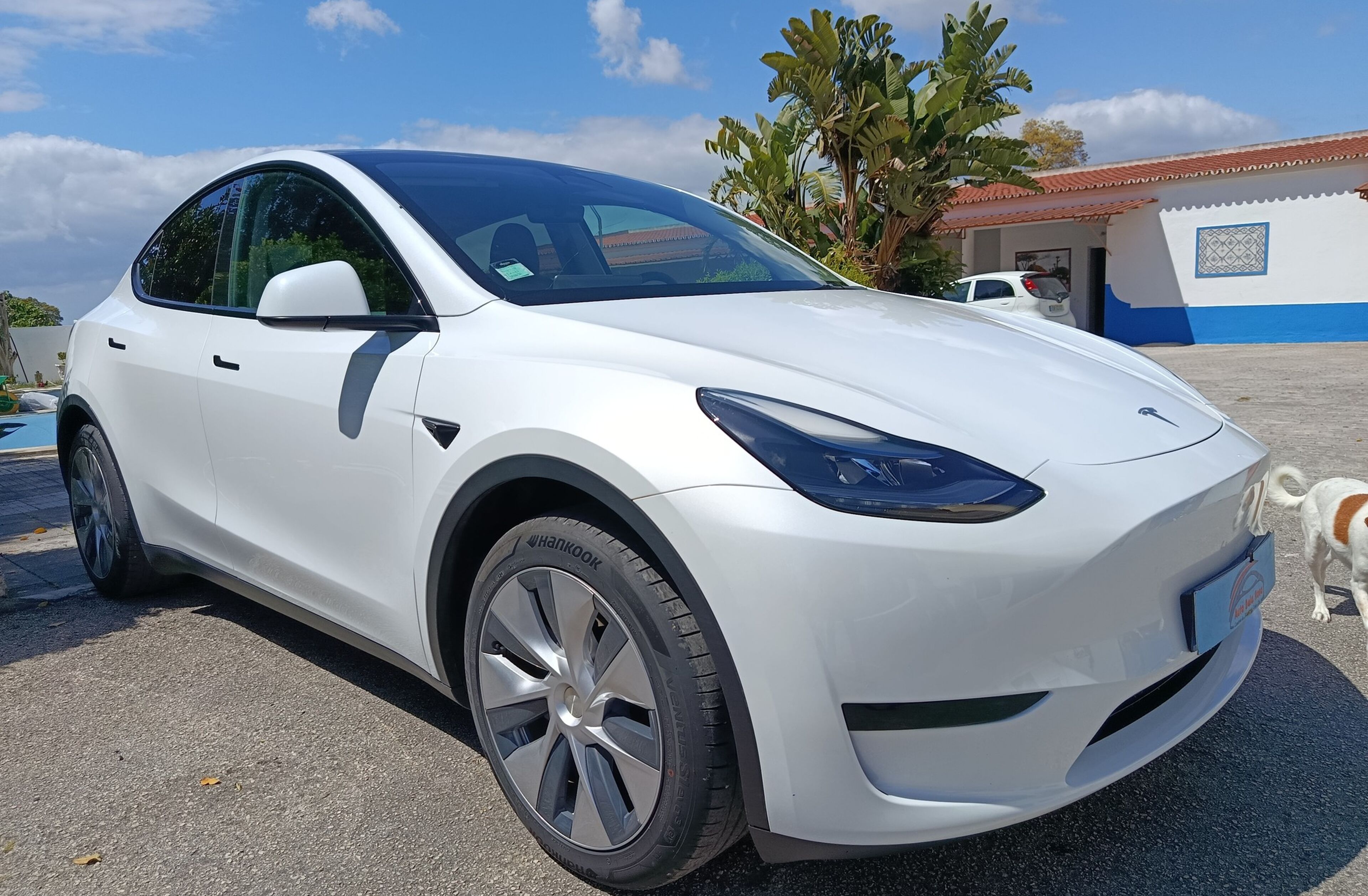 TESLA Model Y RWD