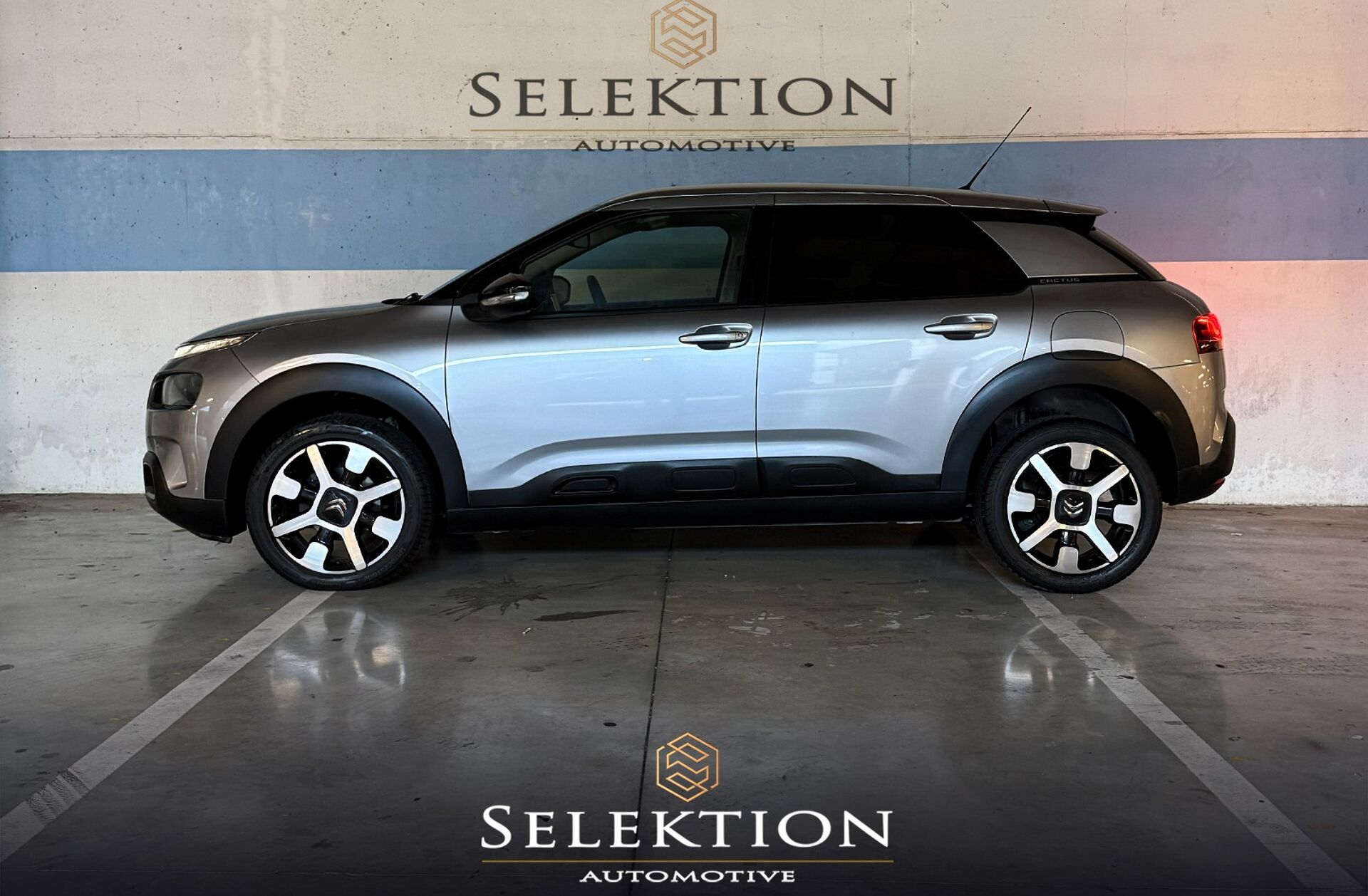 CITROEN C4 Cactus 1.2 PureTech Shine