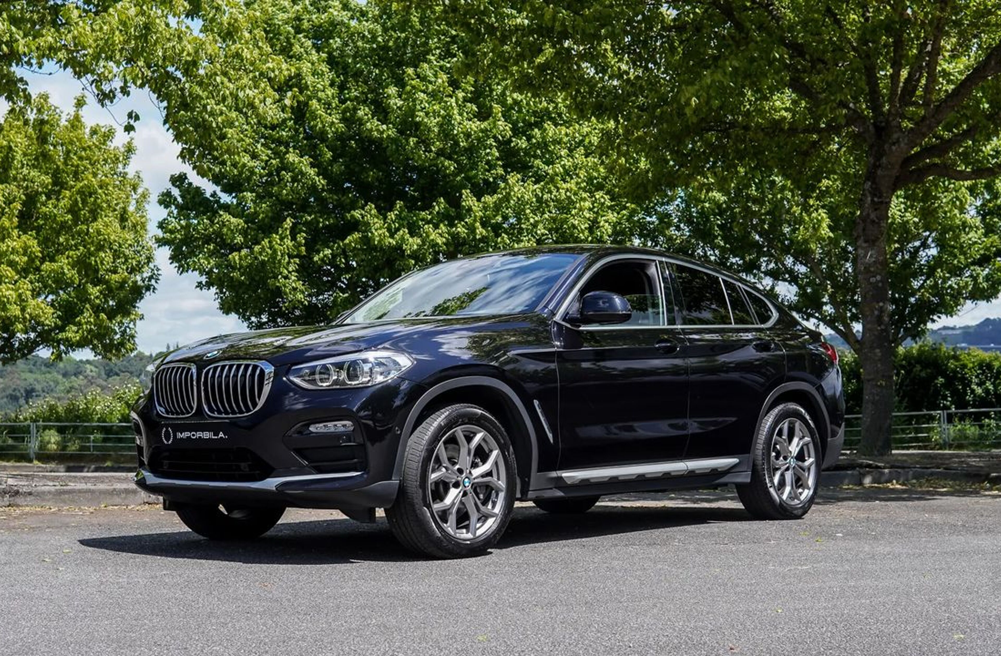 BMW X4 25 d xDrive XLine Auto