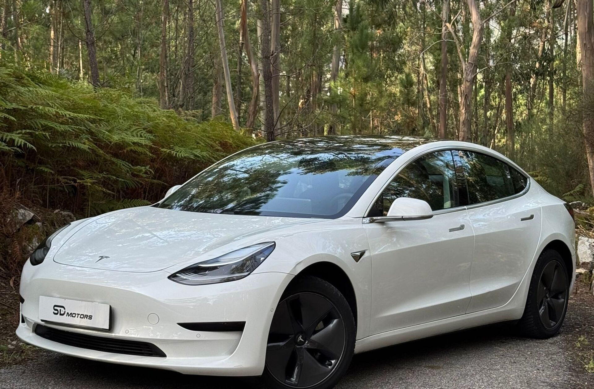 TESLA Model 3 Standard Range Plus RWD