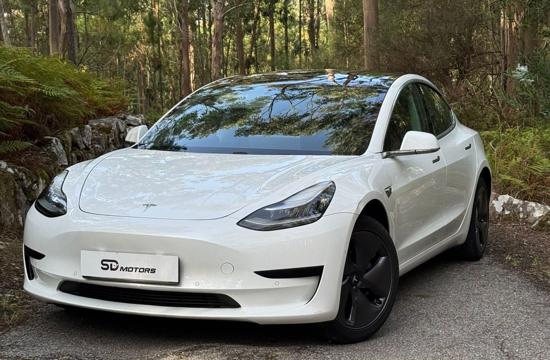 TESLA Model 3 Standard Range Plus RWD