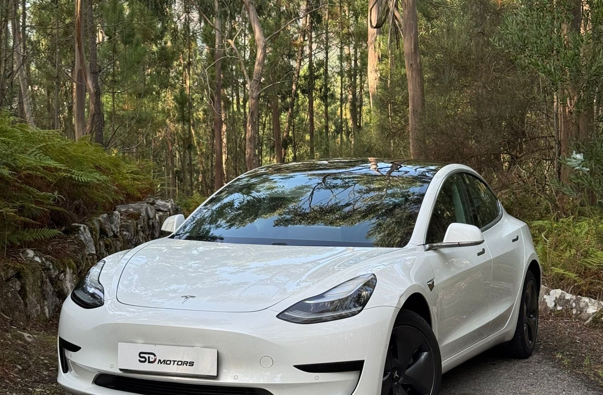TESLA Model 3 Standard Range Plus RWD