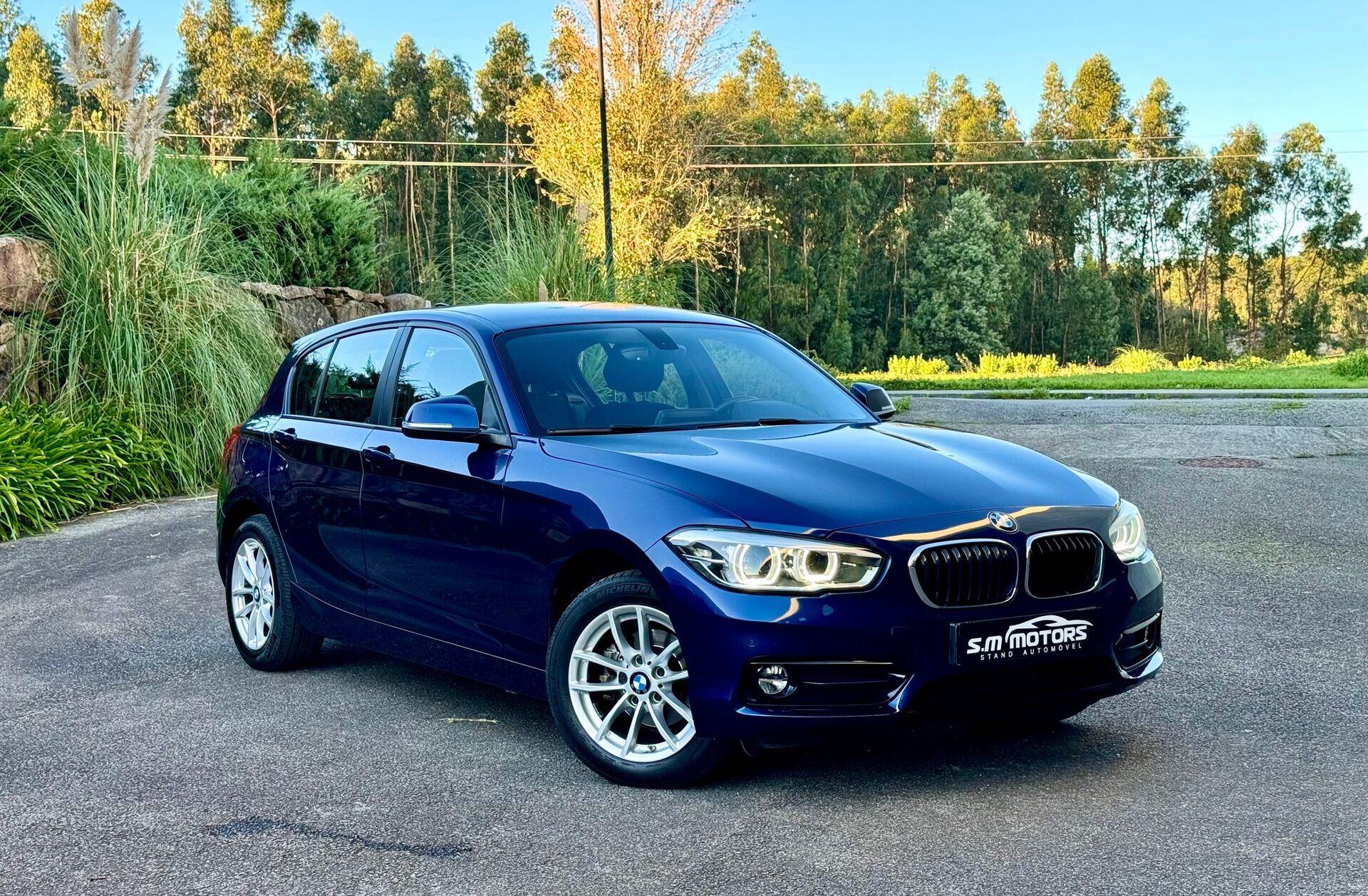 BMW Serie-1 116 d EDynamics Advantage