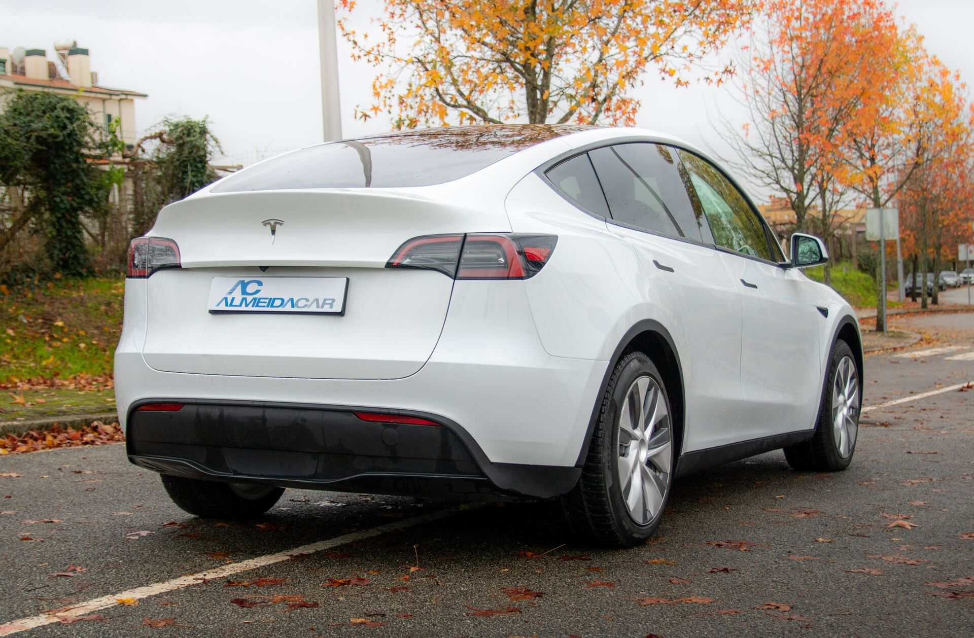 TESLA Model Y Tração Traseira