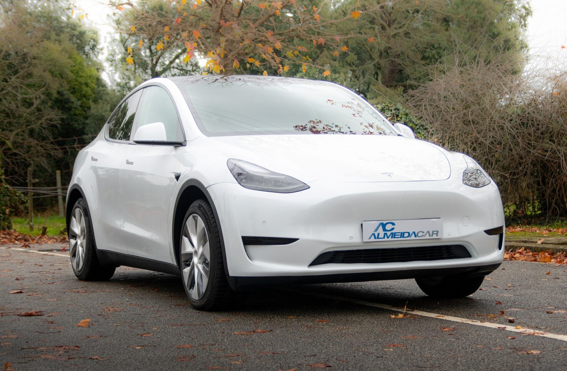 TESLA Model Y Tração Traseira