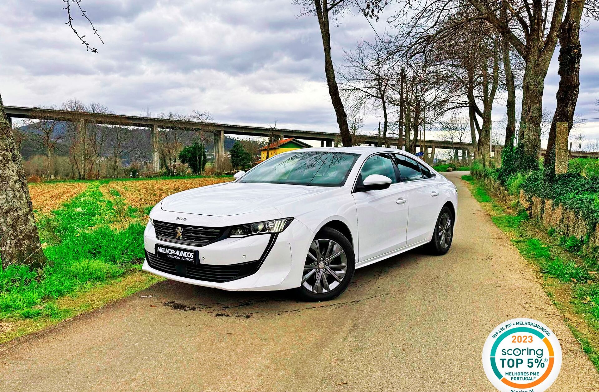 PEUGEOT 508 1.5 BlueHDi Active EAT8