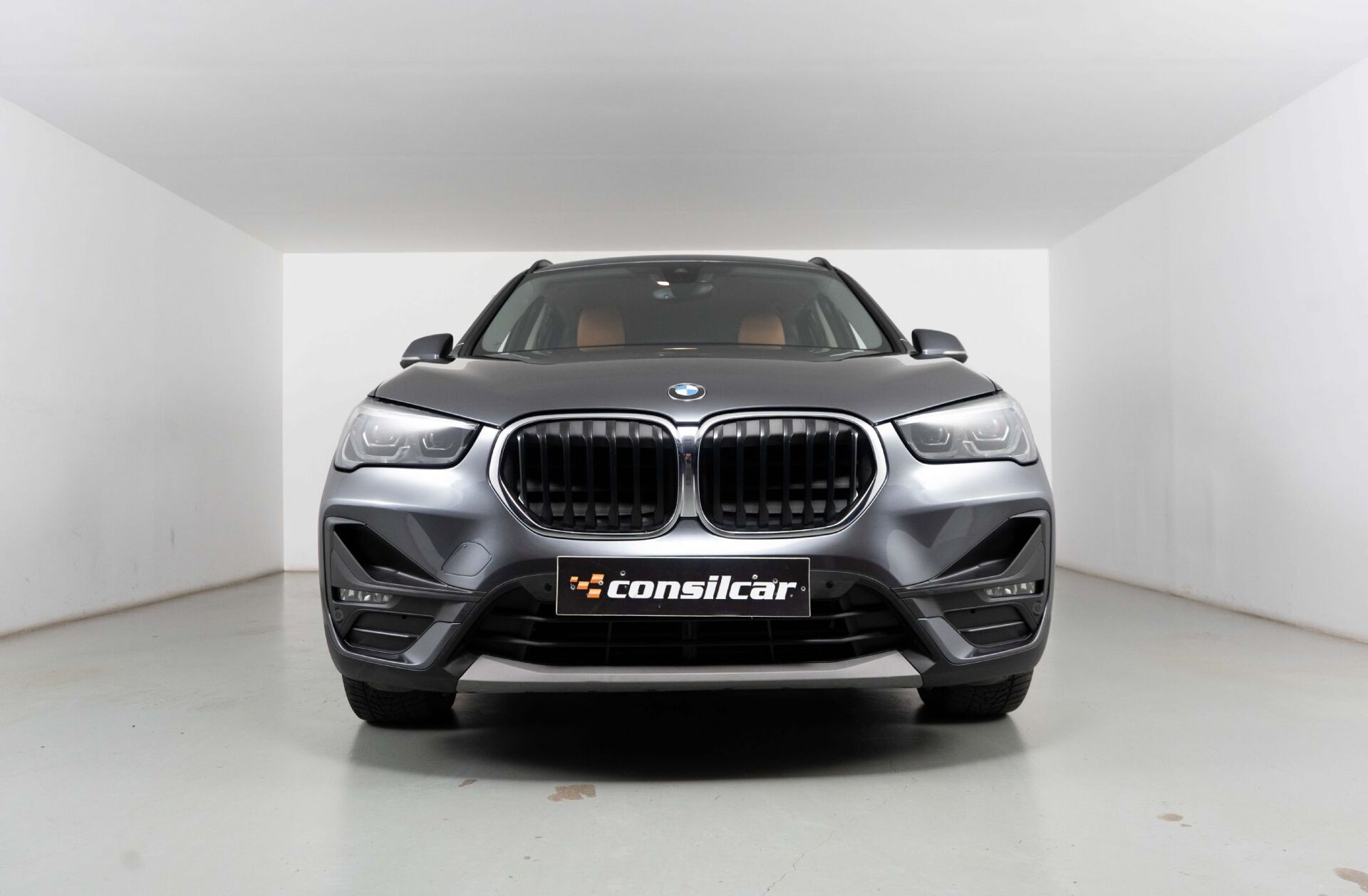 BMW X1 25 e xDrive Corporate Edition
