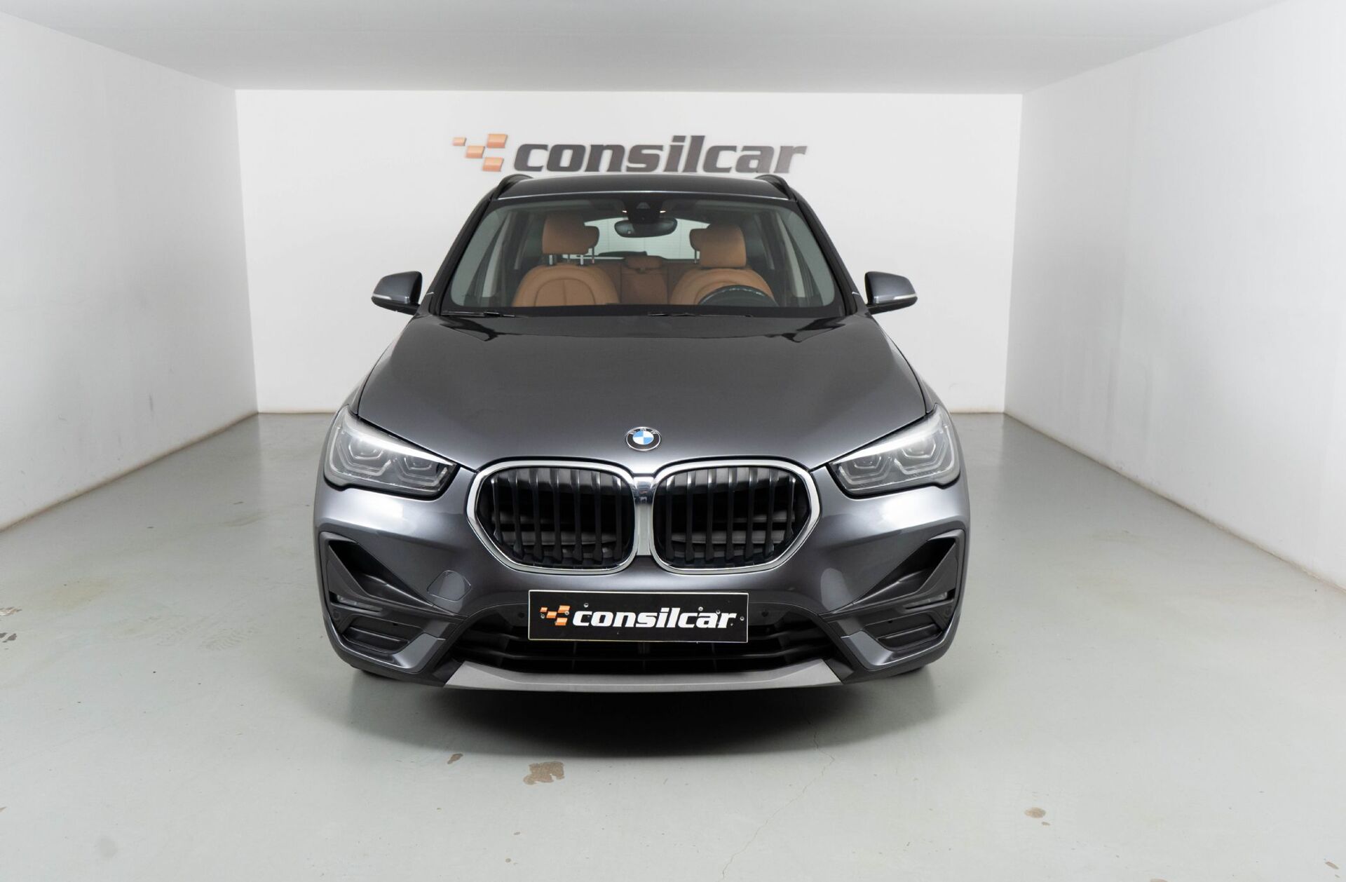 BMW X1 25 e xDrive Corporate Edition