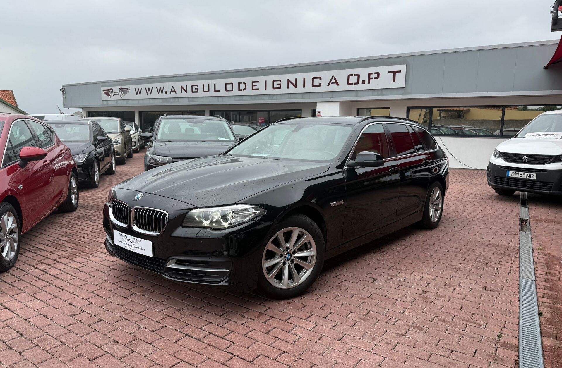 BMW Serie-5 520 i Line Luxury