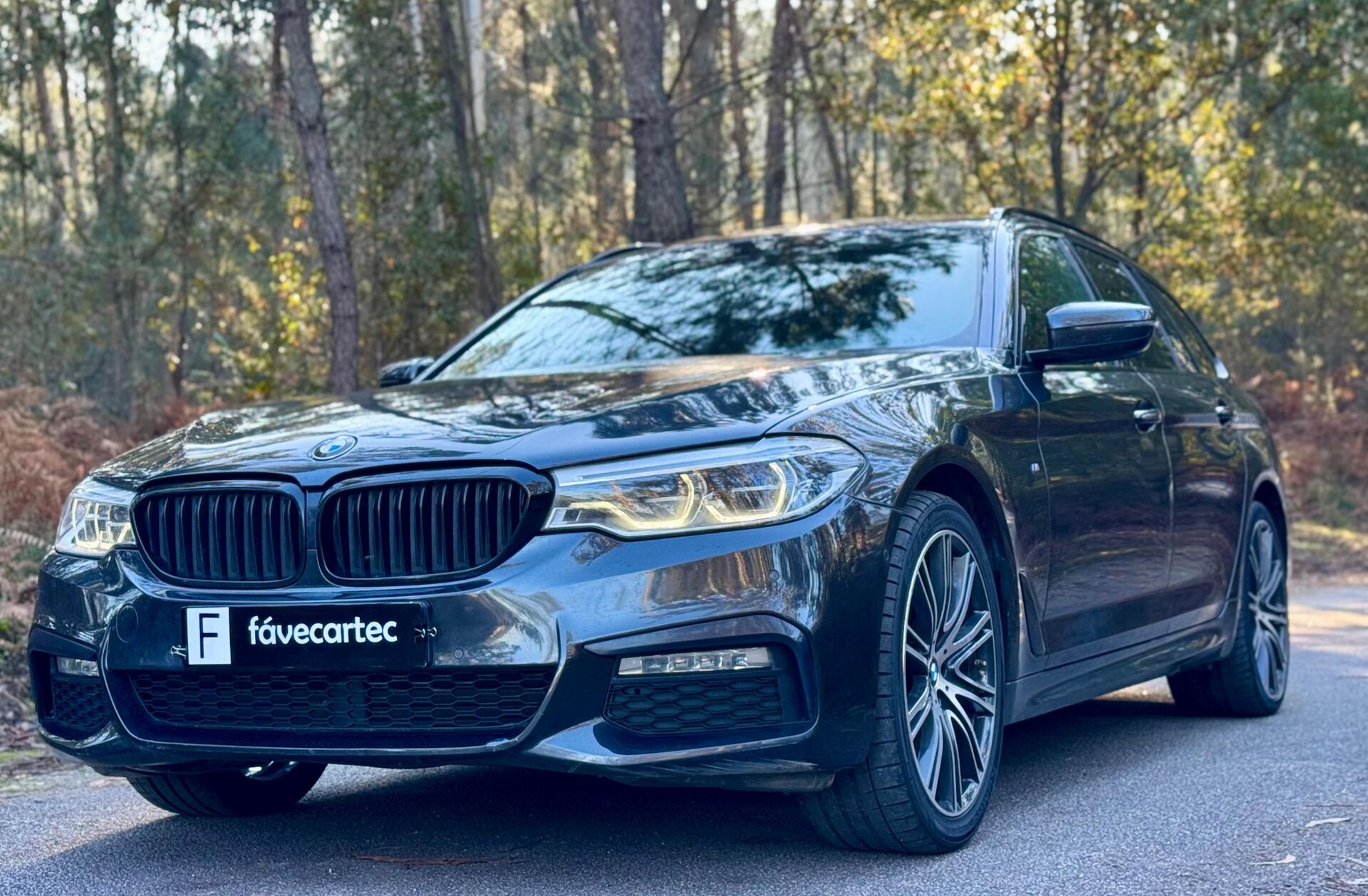 BMW Serie-5 520 d Pack M Auto