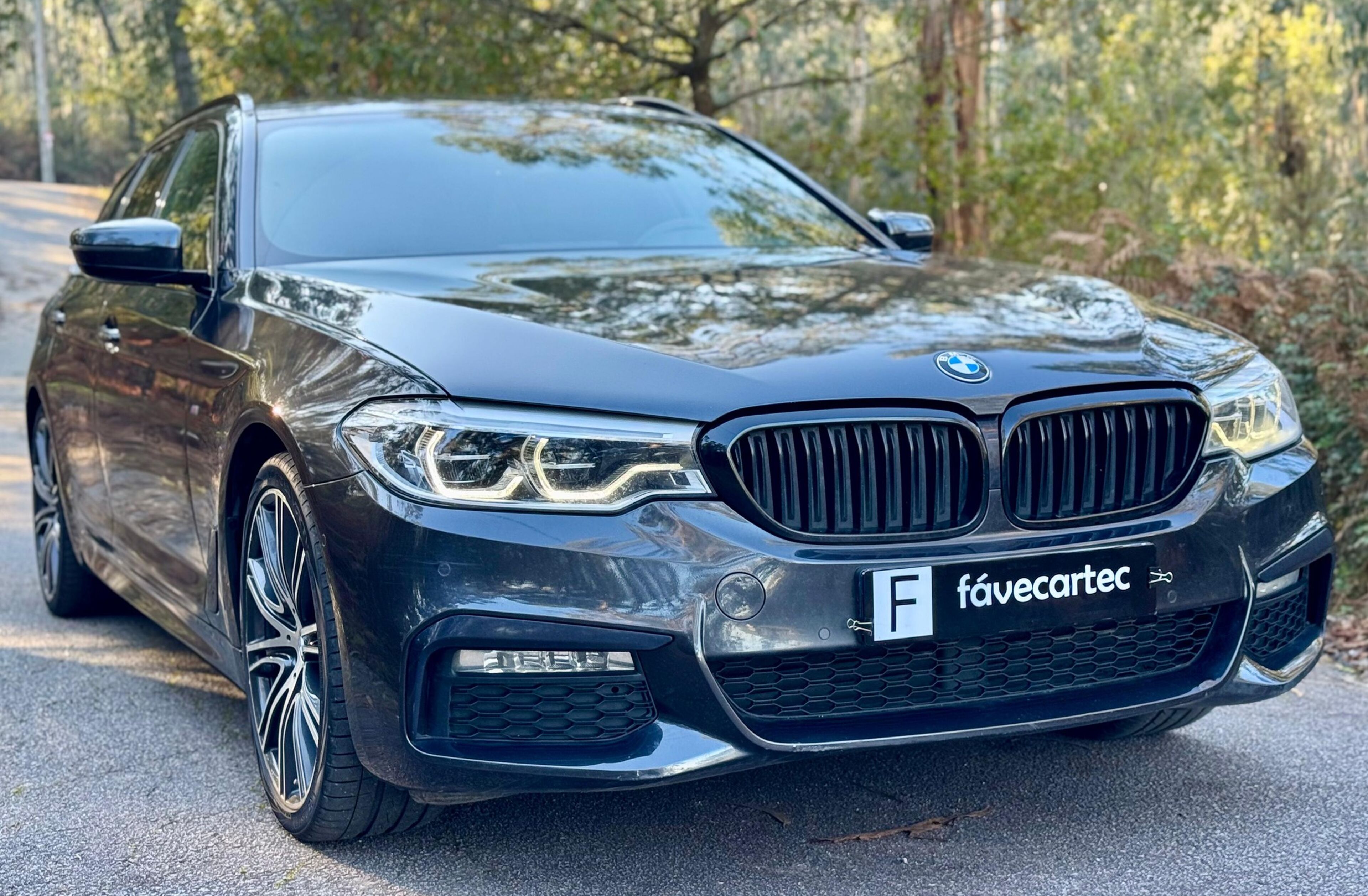 BMW Serie-5 520 d Pack M Auto