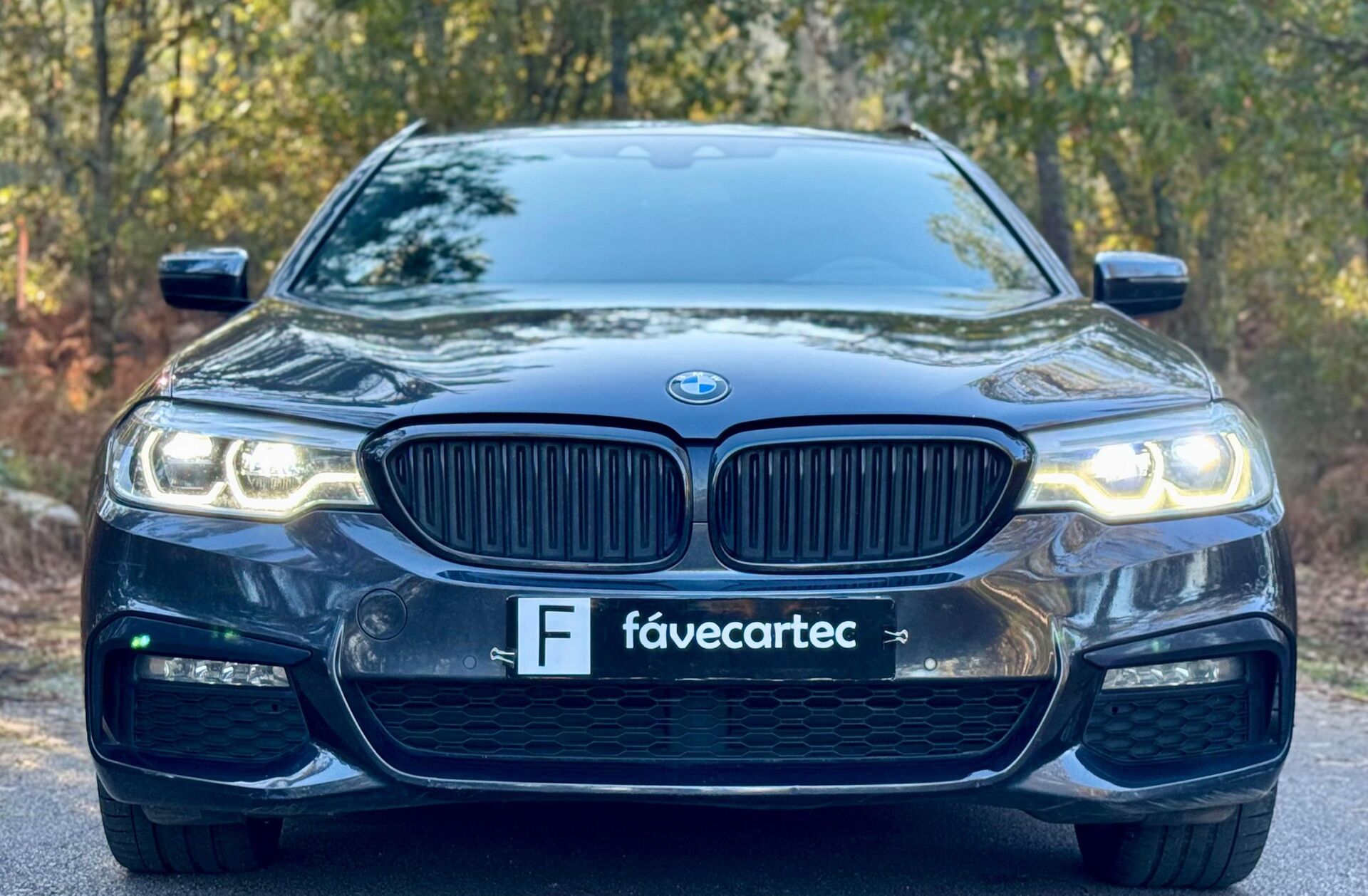 BMW Serie-5 520 d Pack M Auto