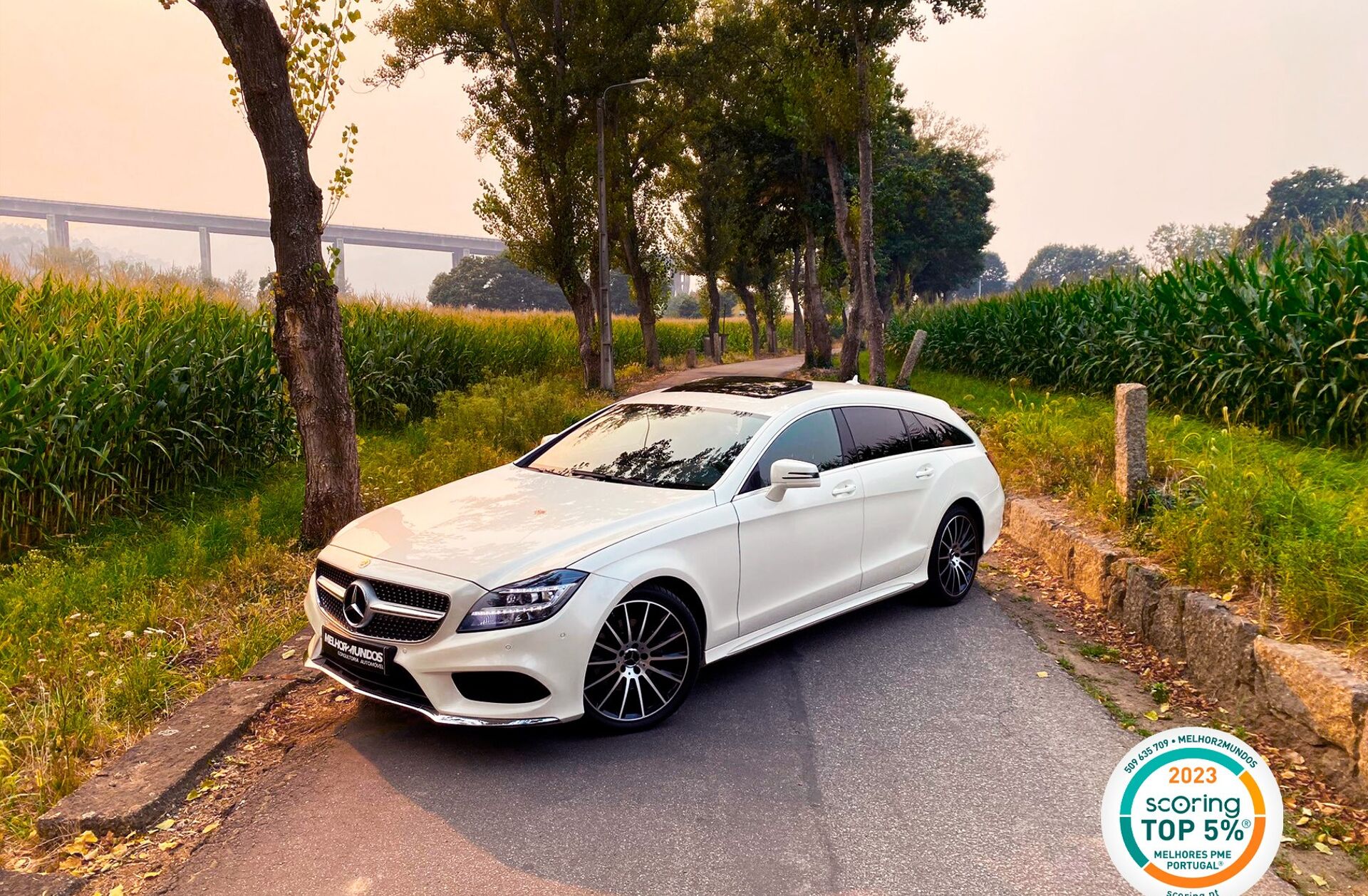MERCEDES Classe CLS CLS 350 d