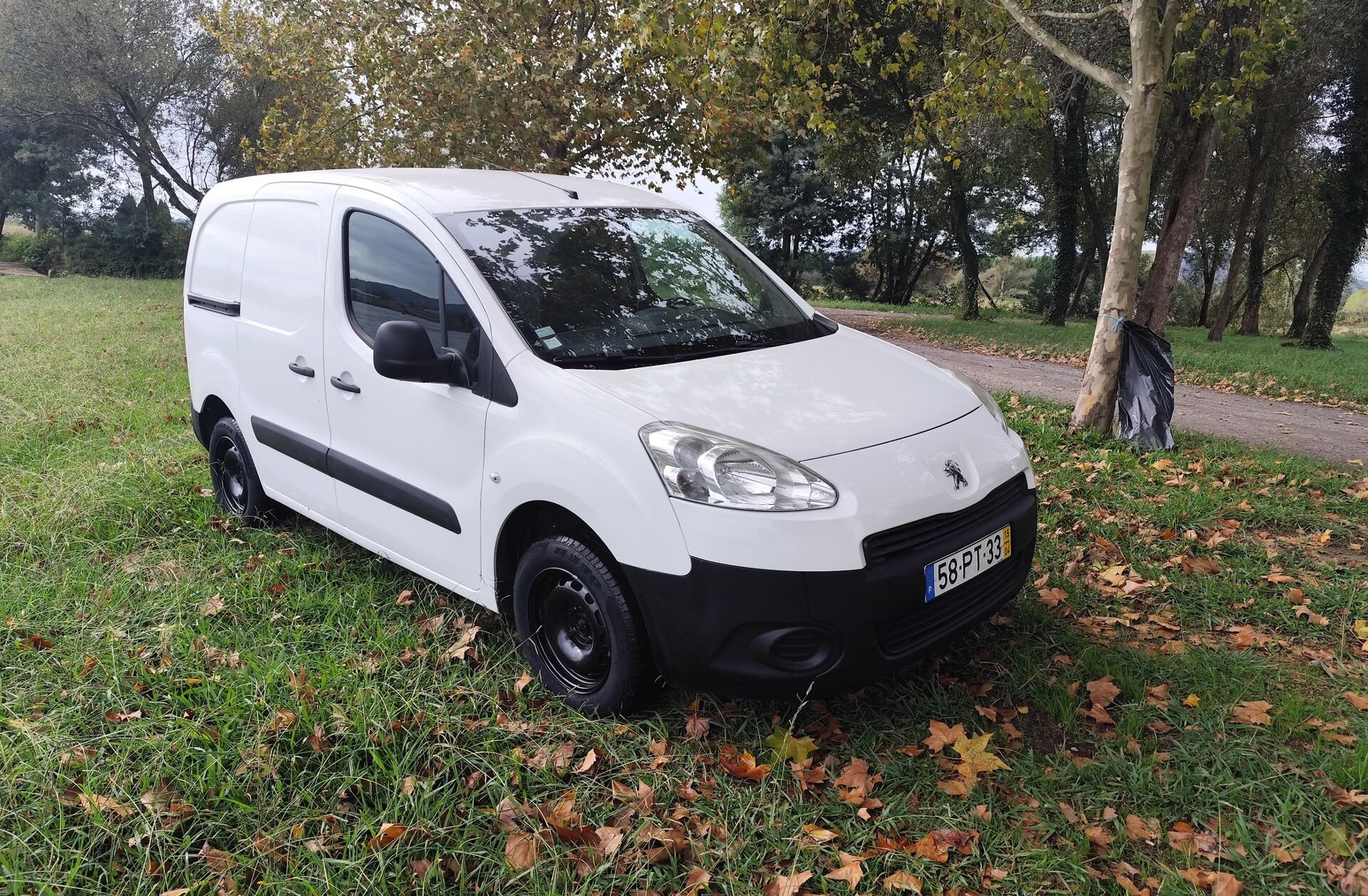 PEUGEOT Partner 1.6 HDi L1 3L