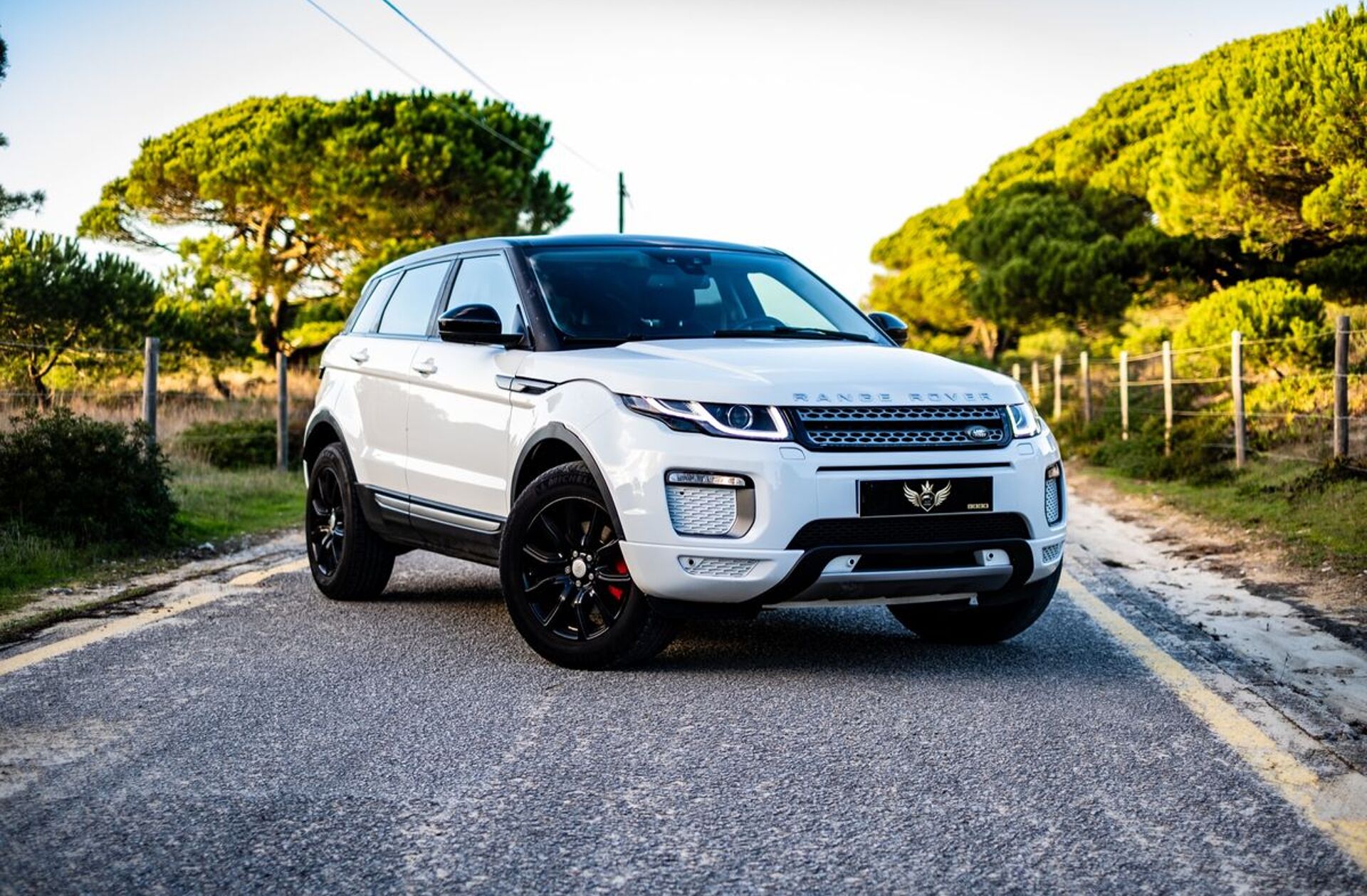 LAND ROVER Range Rover Evoque 2.0 TD4 HSE Dynamic Auto