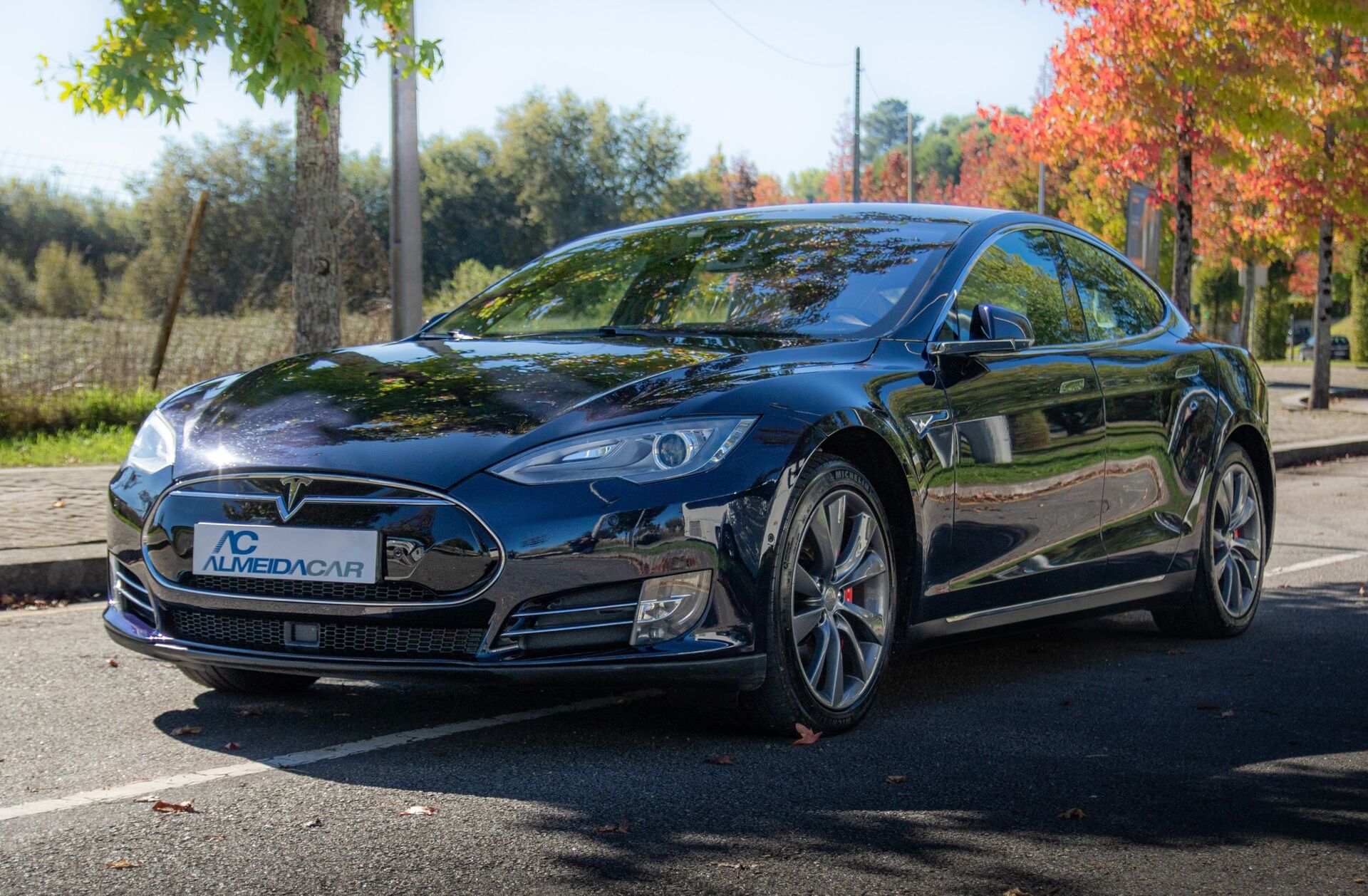 TESLA Model S P85D
