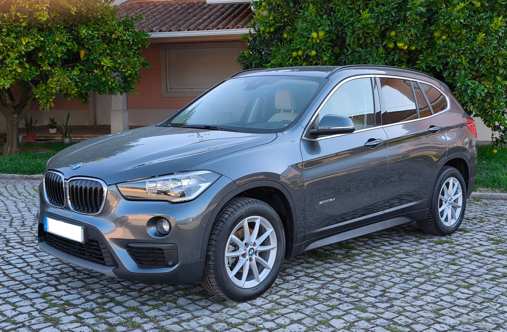 BMW X1 16 d sDrive Advantage
