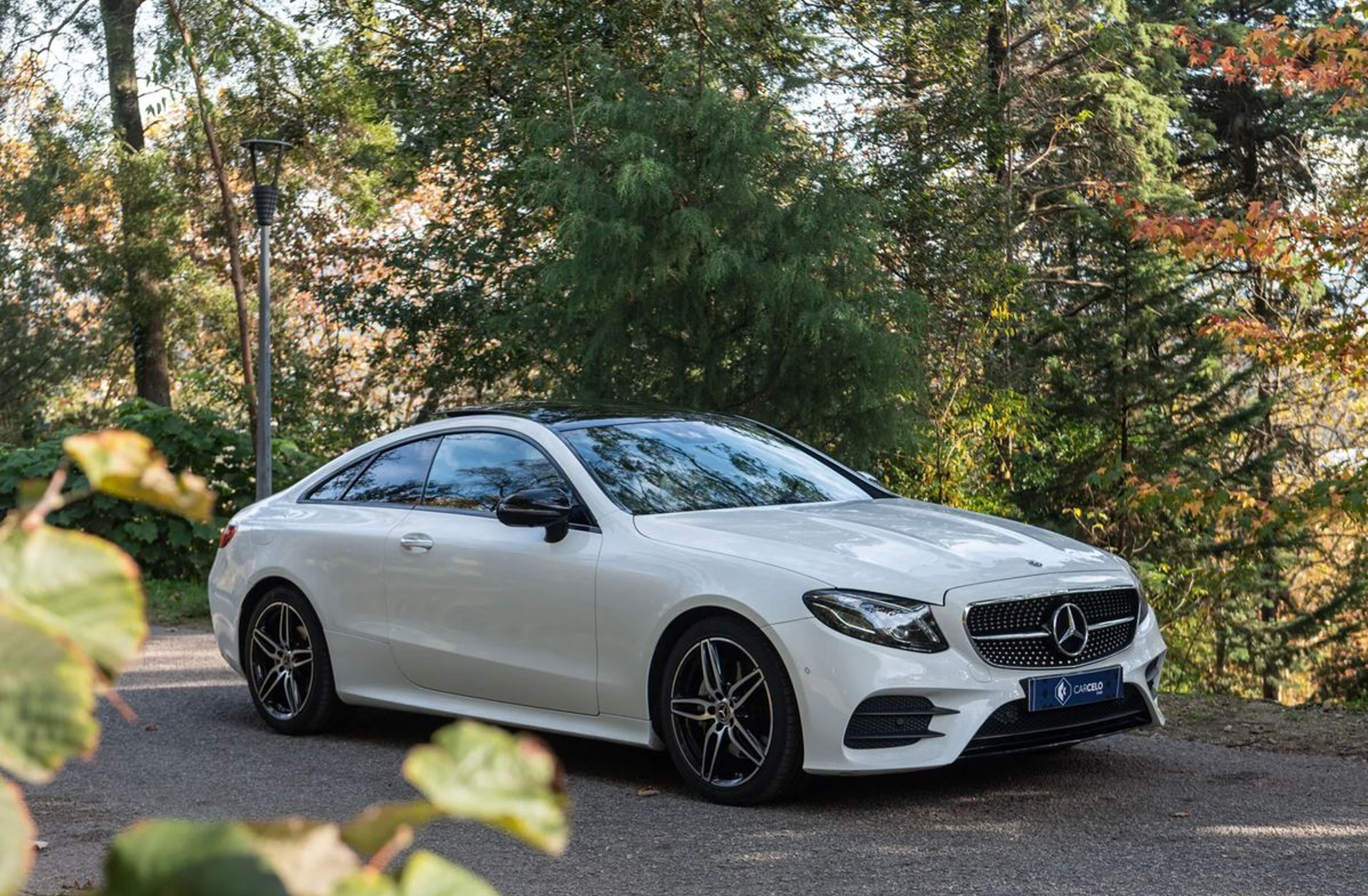 MERCEDES Classe E E 220 d AMG Line Aut.