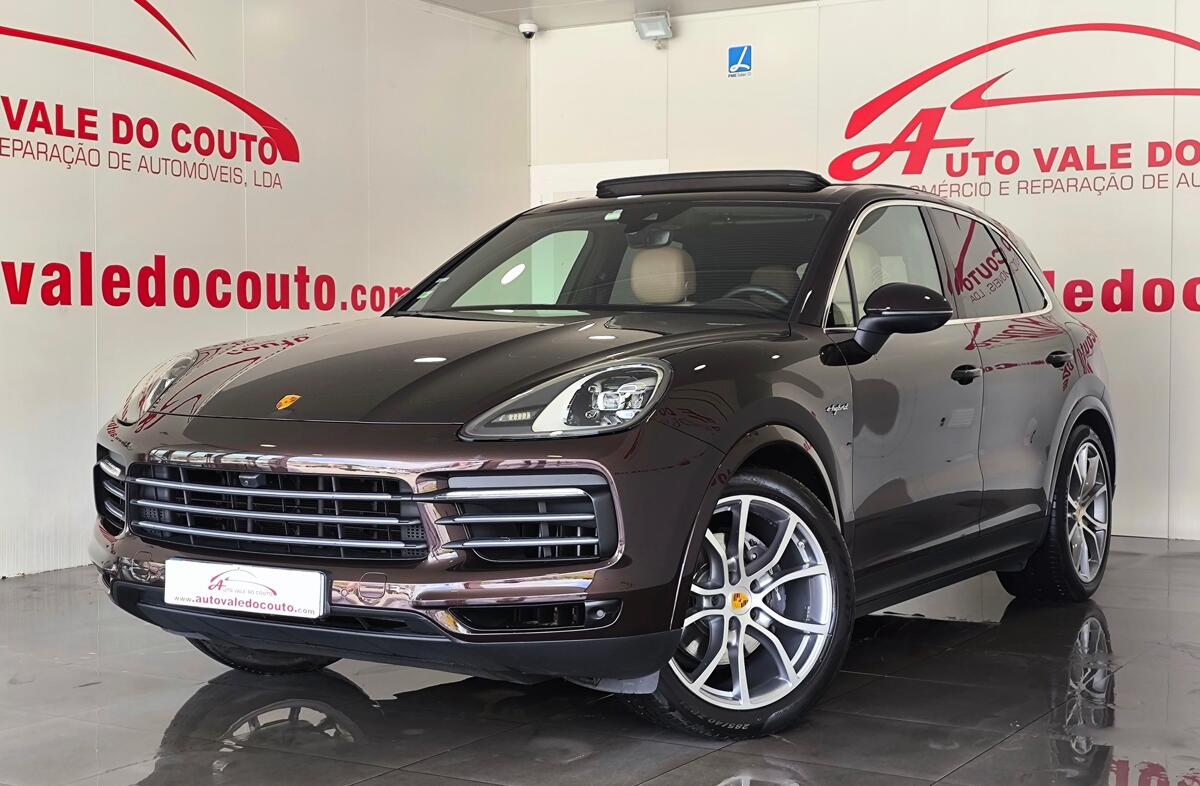 PORSCHE Cayenne E-Hybrid Zukunft