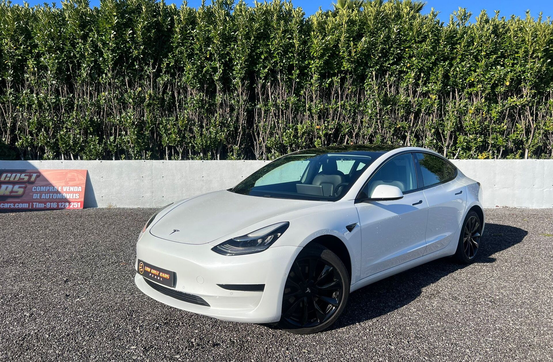 TESLA Model 3 Standard RWD Plus