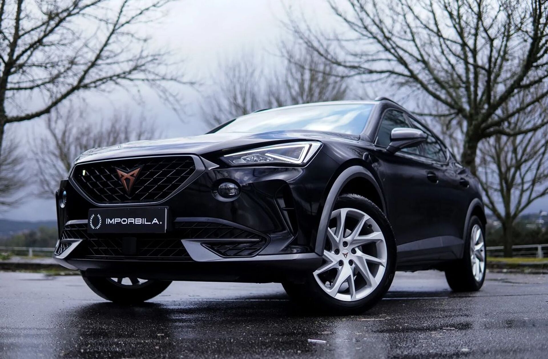 CUPRA Formentor 1.4 e-Hybrid Cupra DSG