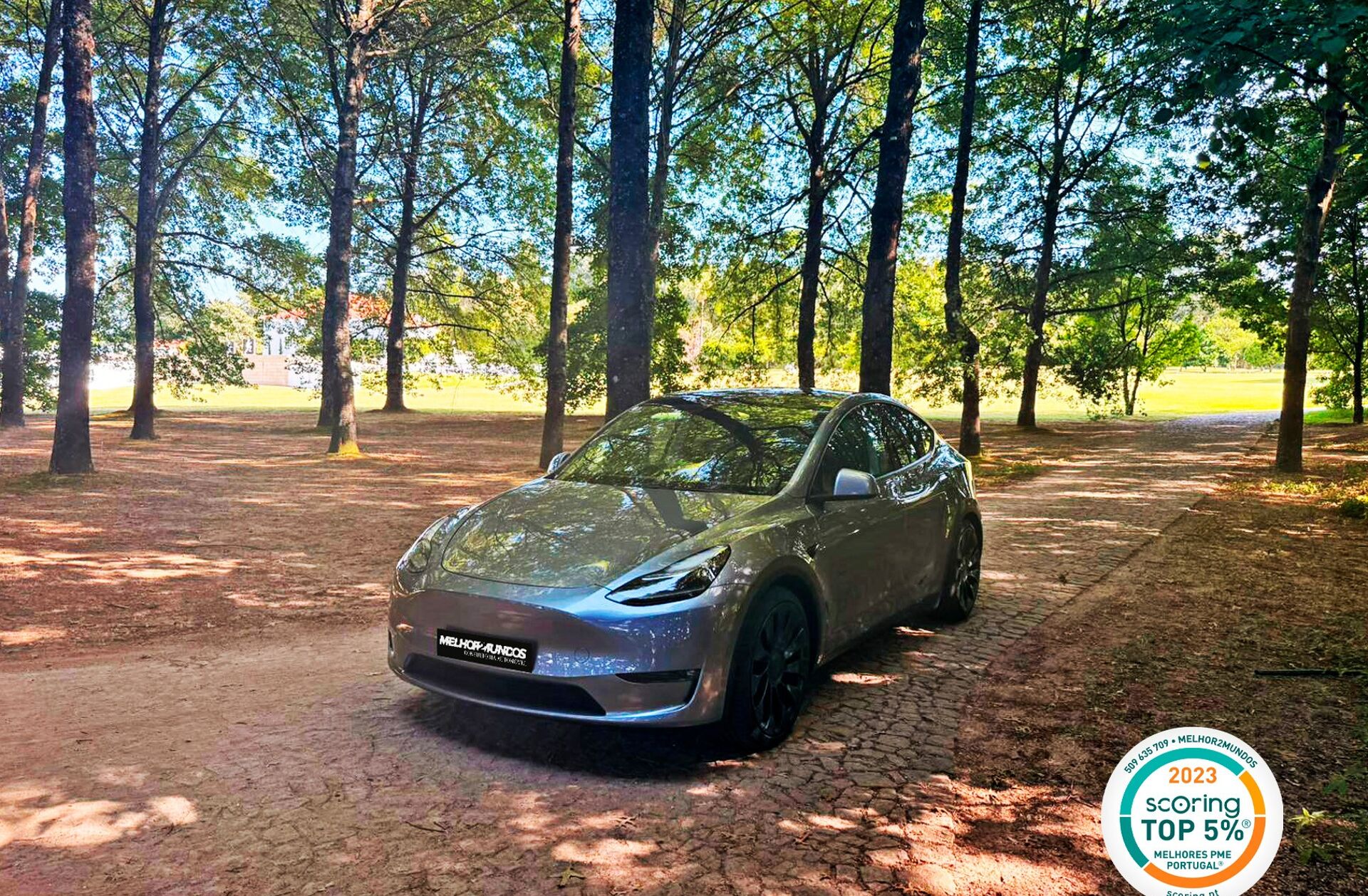 TESLA Model Y Performance Tração Integral