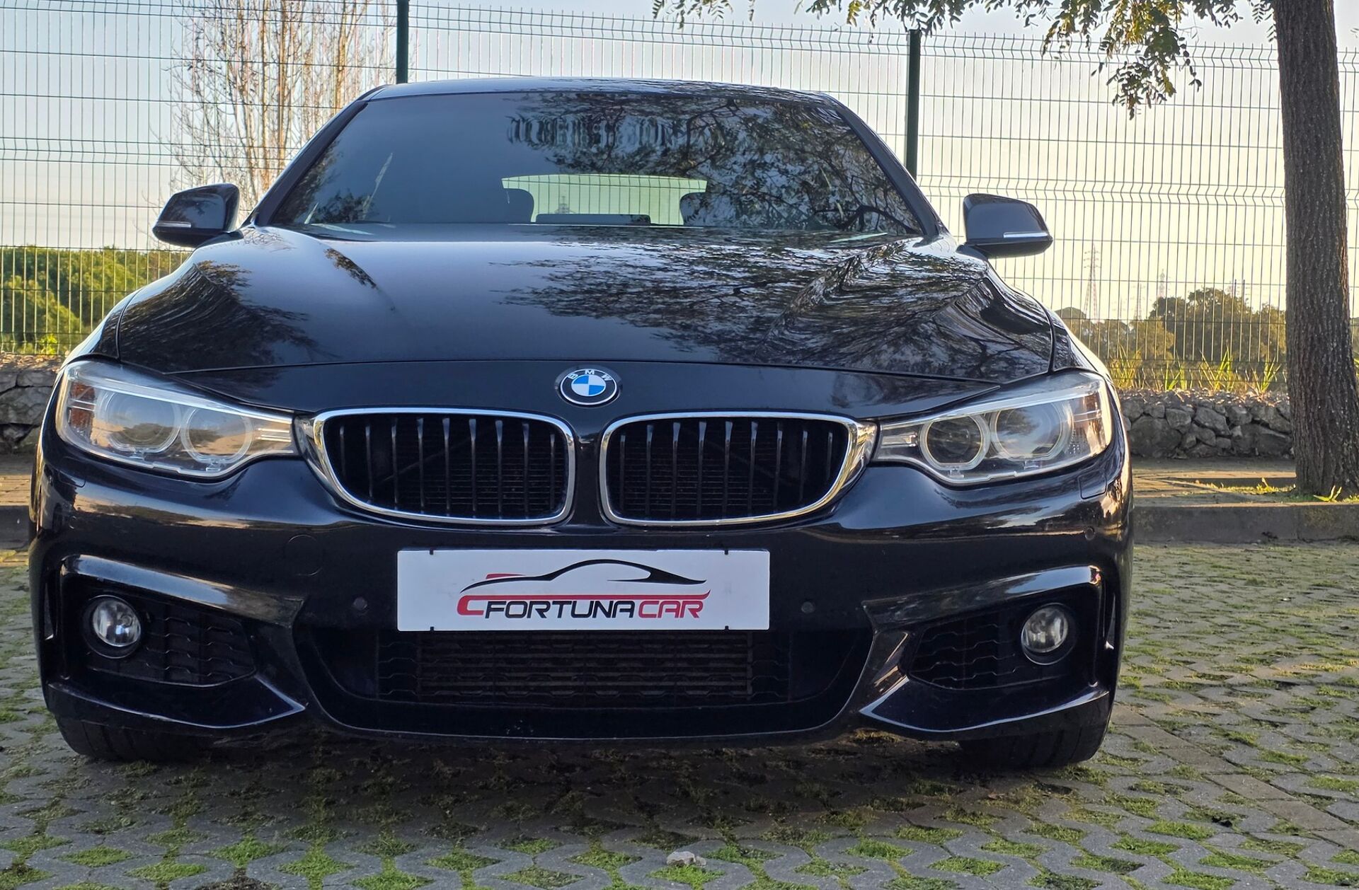 BMW Serie-4 425 d Gran Coupé Pack M Auto