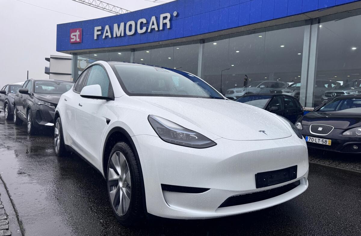 TESLA Model Y RWD