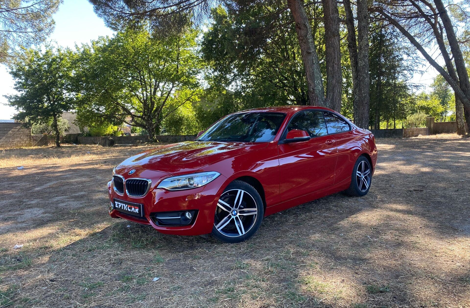 BMW Serie-2 218 d Line Sport Auto