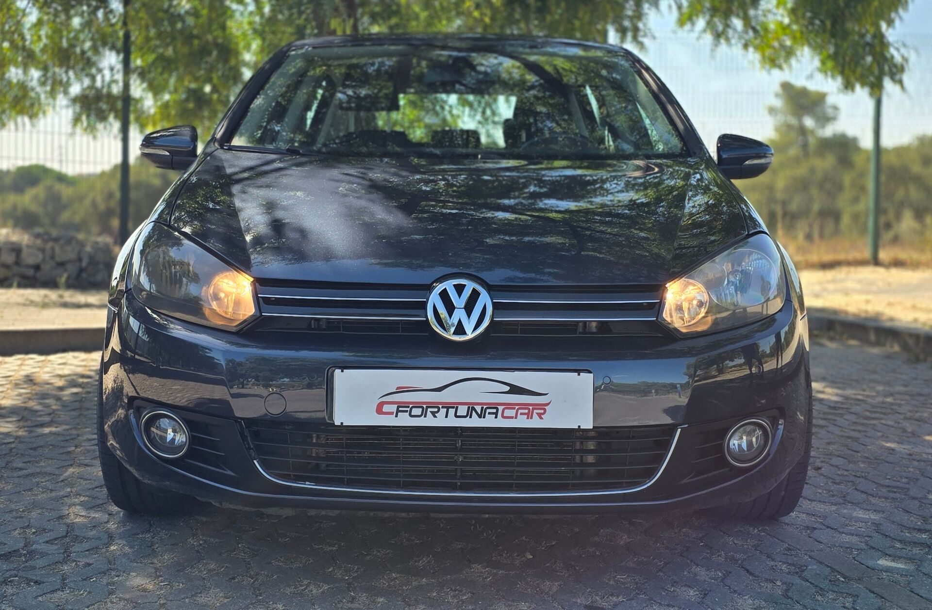 VOLKSWAGEN Golf 1.6 TDi Confortline