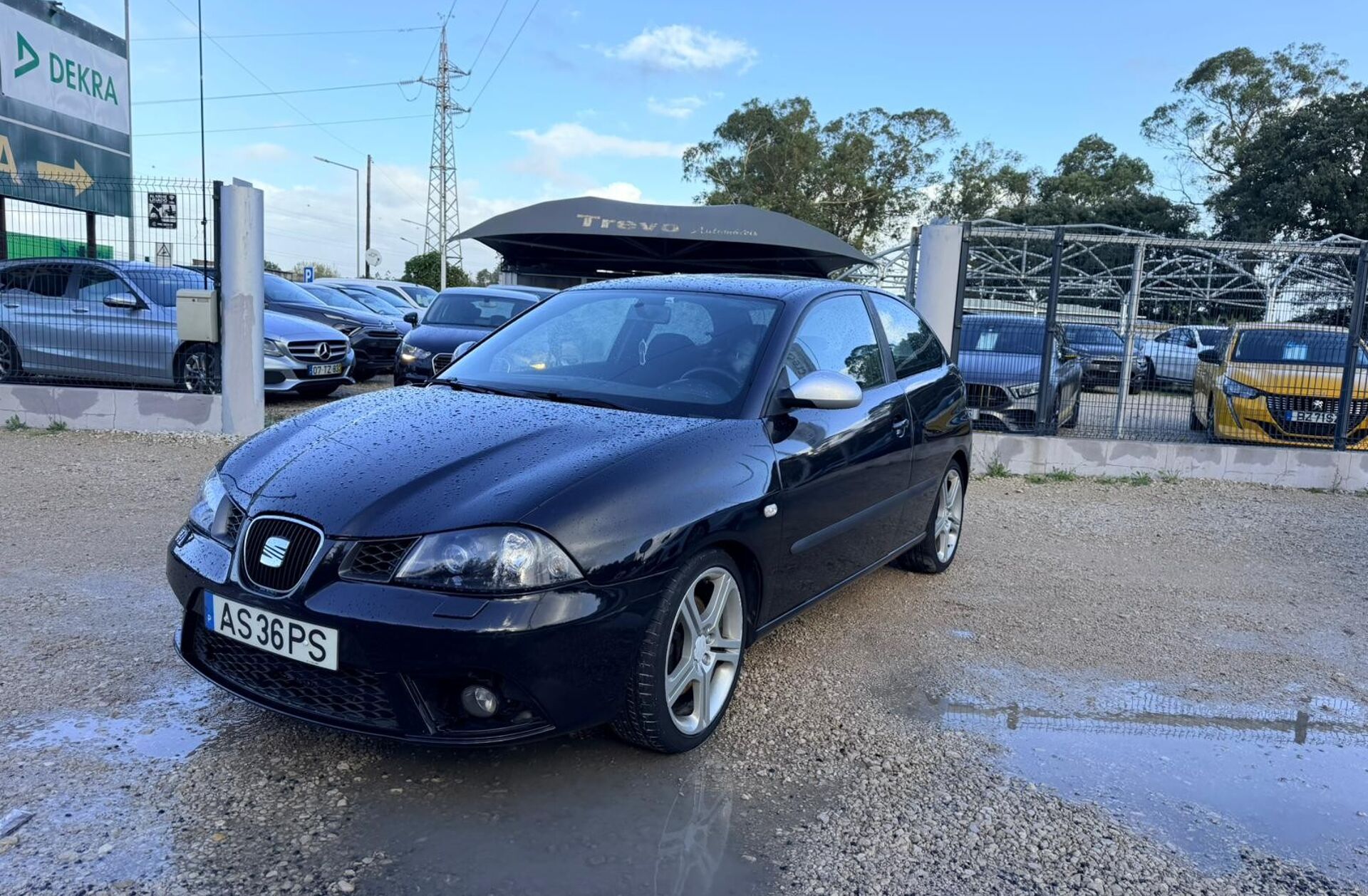 SEAT Ibiza 1.9 TDi FR