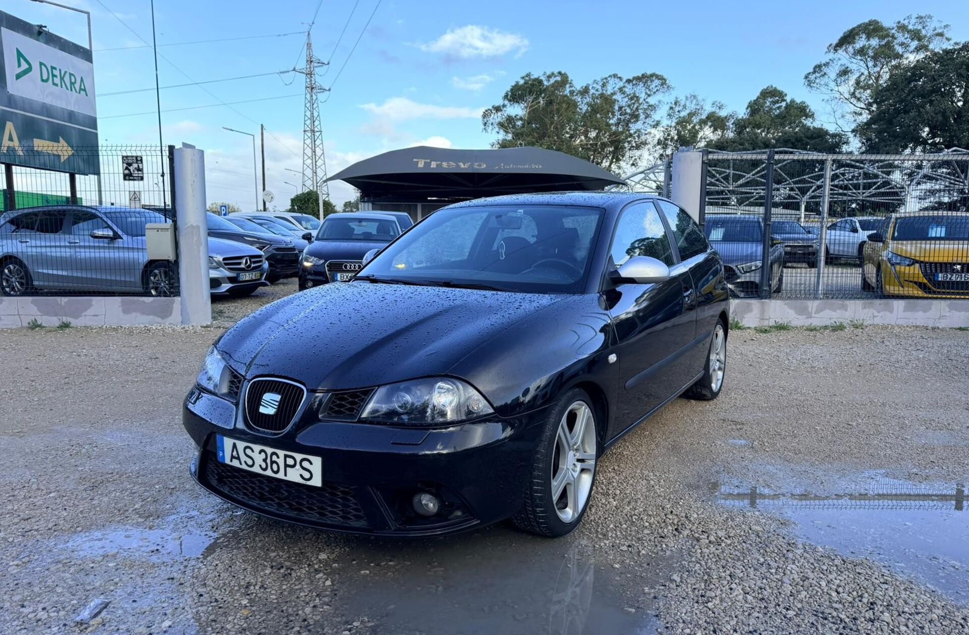 SEAT Ibiza 1.9 TDi FR