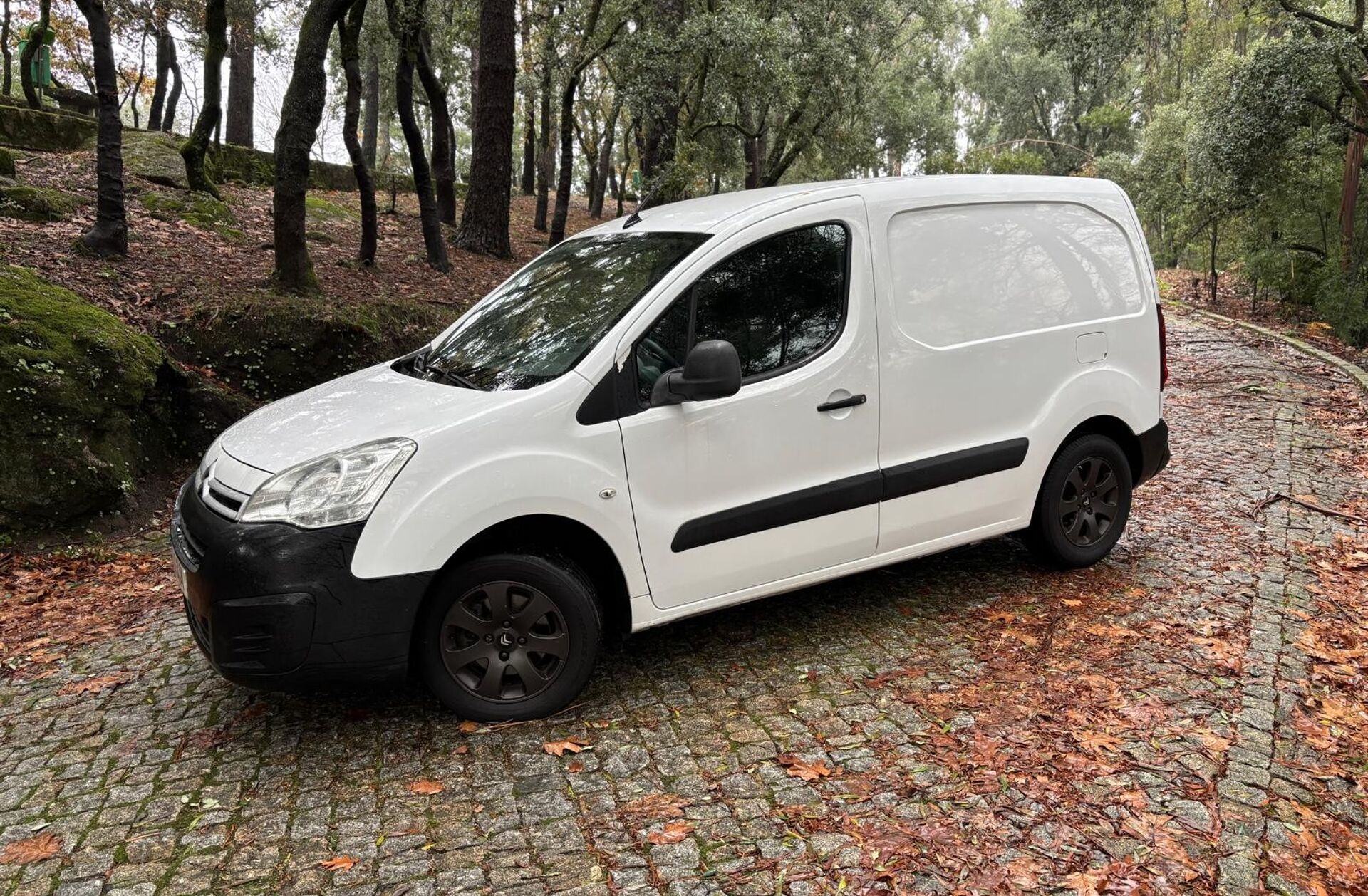 CITROEN Berlingo 1.6 BlueHDi L1 3L